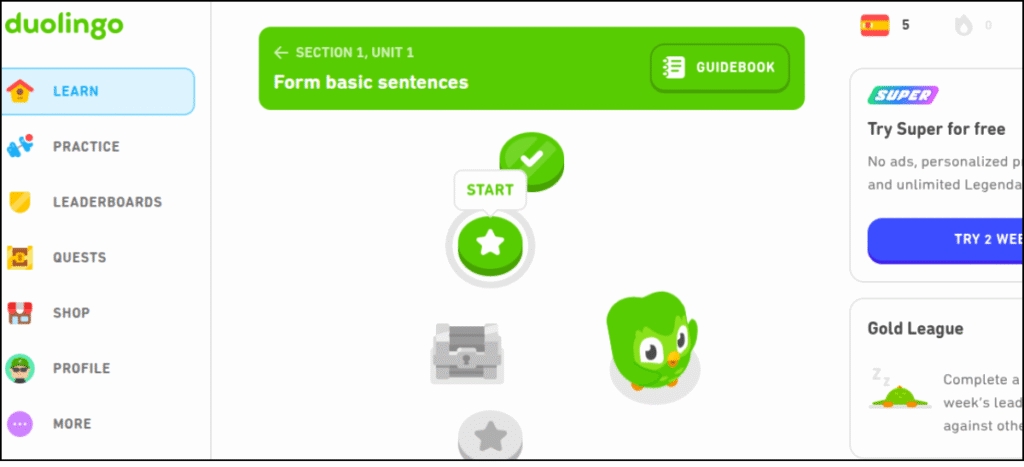 Open the Duolingo website on PC