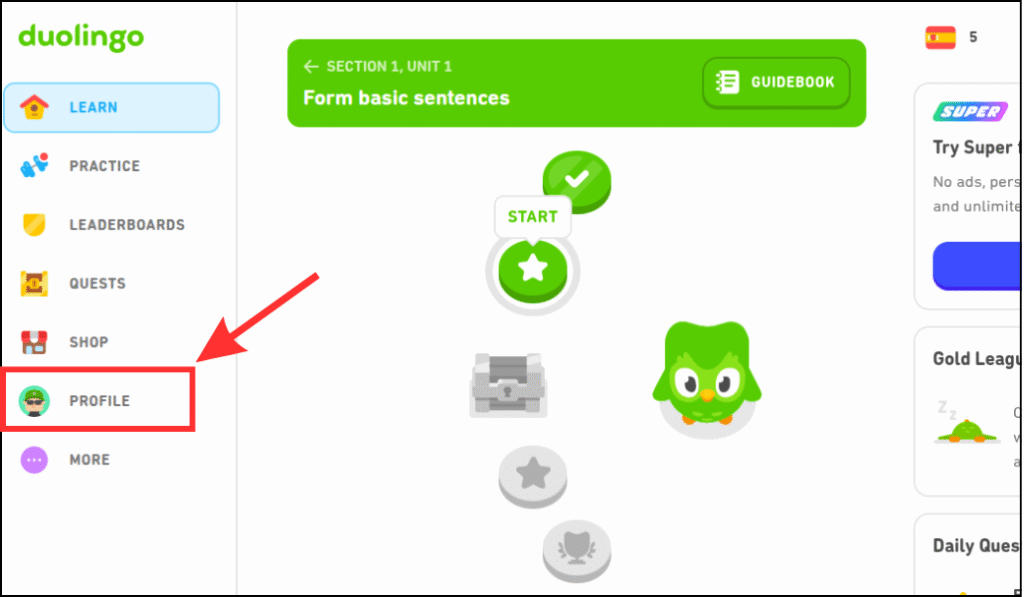 Open Your Profile on Duolingo website