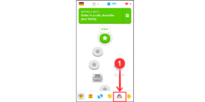 How To Delete Your Duolingo Account Permanently? - Duo Corner