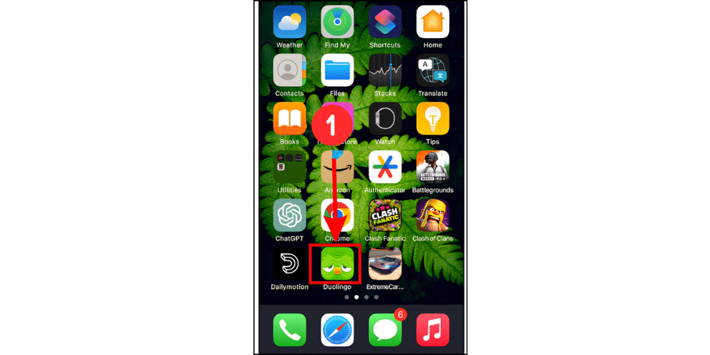 Open the Duolingo app on phone