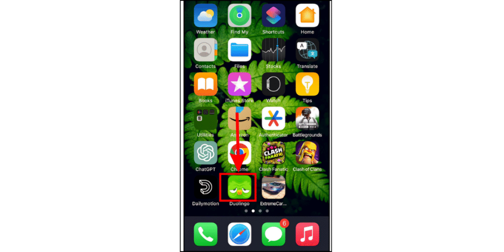 Open the Duolingo App