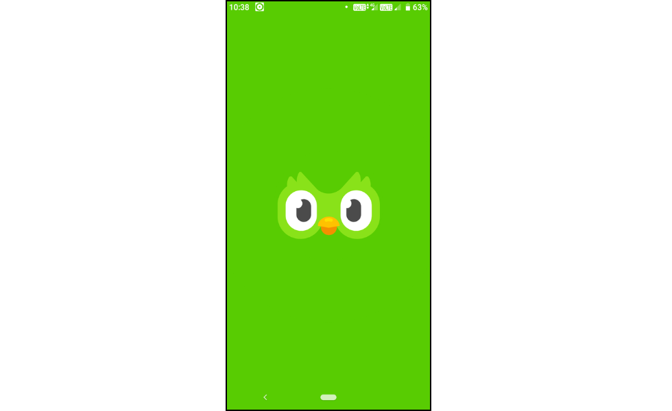 Open the Duolingo App