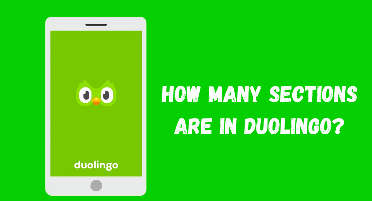 How Many Sections Are in Duolingo?