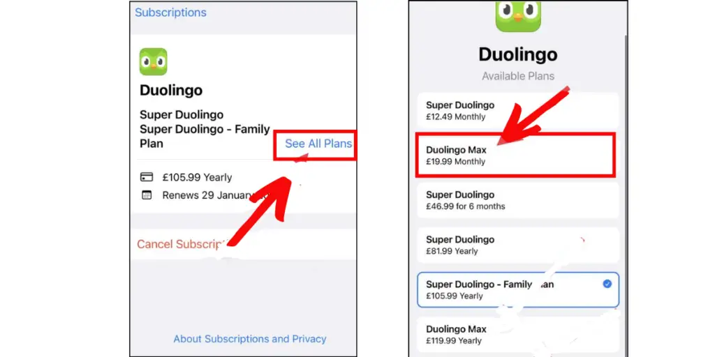 How To Get Duolingo Max