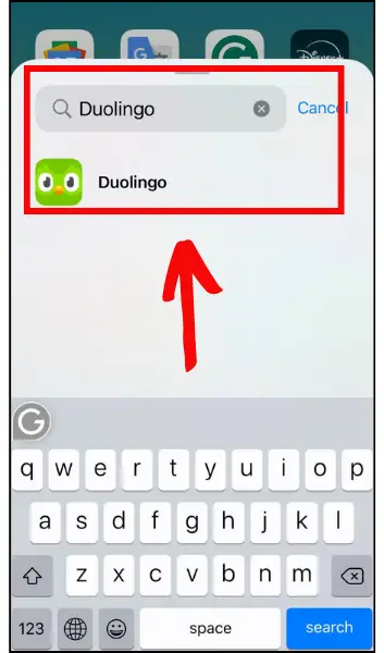 Add Duolingo Widget On iOS