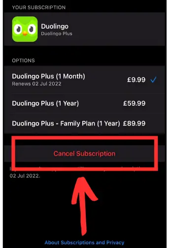 Cancel your Super Duolingo subscription on iOS