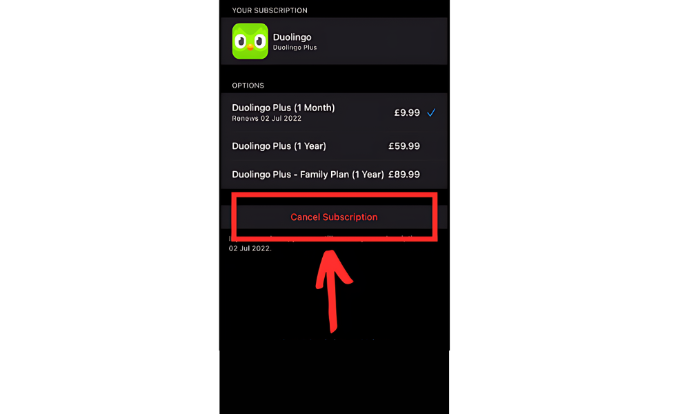 Cancel the Subscription