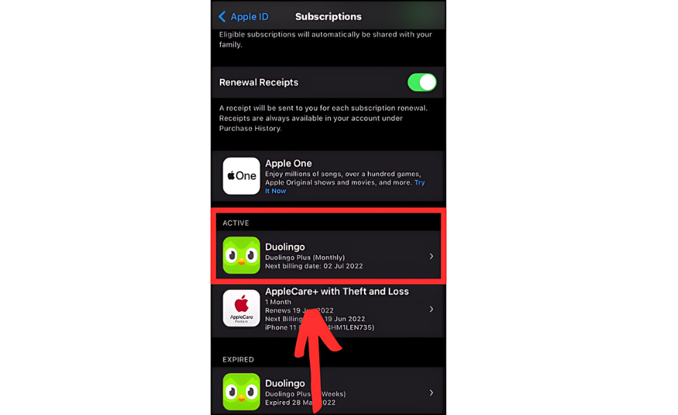 Find Duolingo in the List